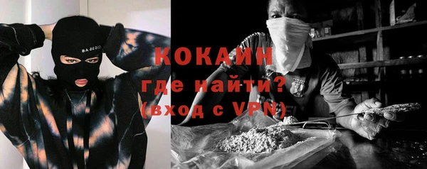 амф Бородино