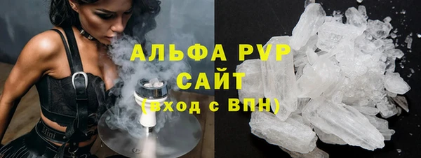 амф Бородино