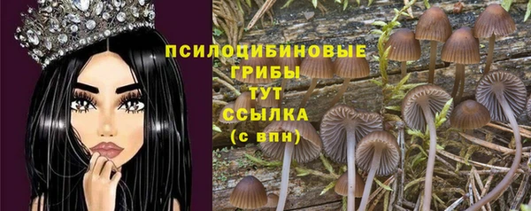 амф Бородино