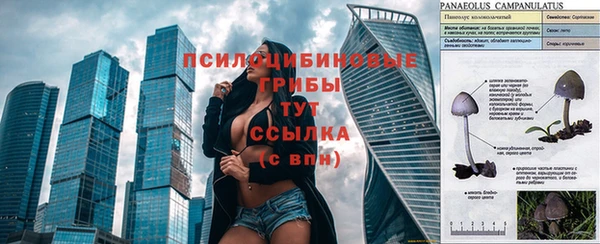 эйфоретик Бугульма