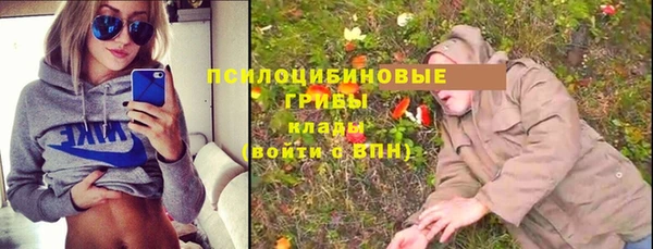 а пвп мука Верея