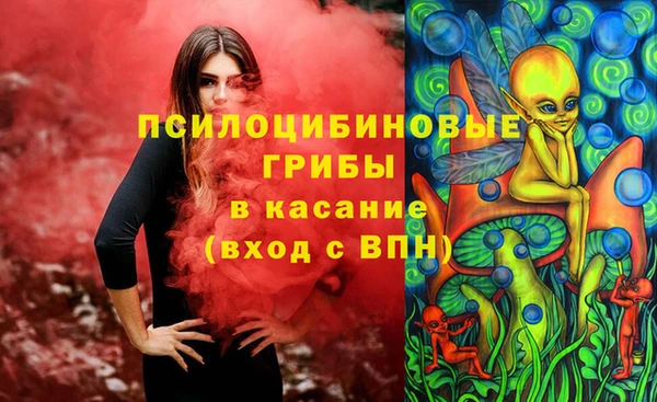 амф Бородино