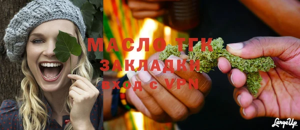 амф Бородино