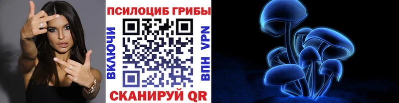 Галлюциногенные грибы прущие грибы наркота Раменское